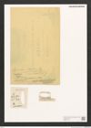 Diatomeae indet. Zeichnungen Sammlung Grunow (NHMW-BOT-W0370125)